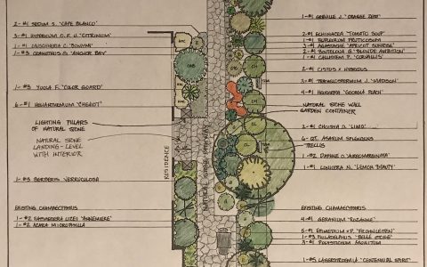 detailed planting plan
