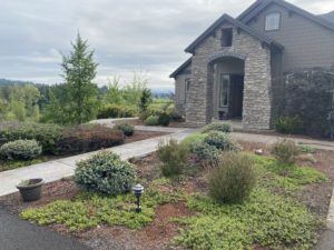 entry plantings